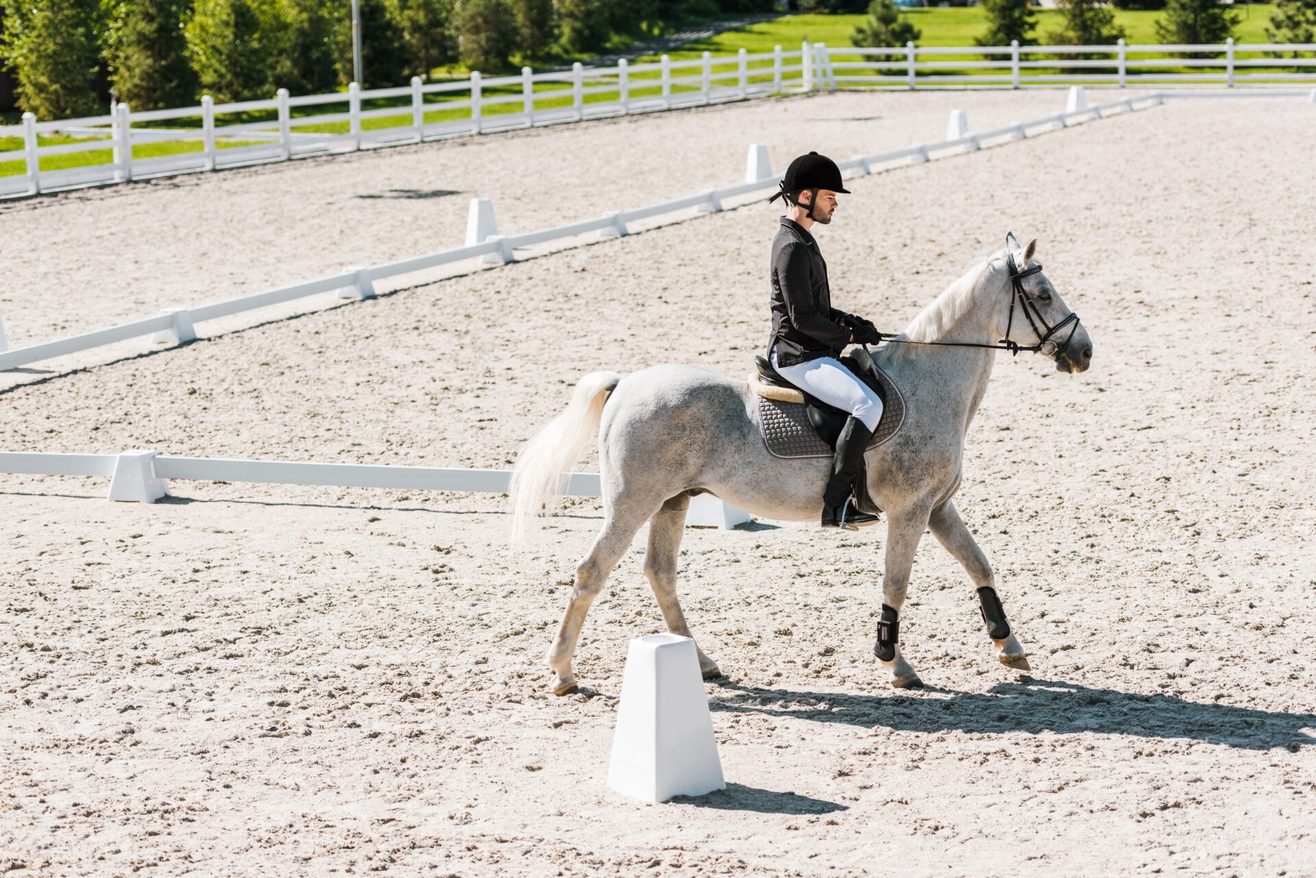 side view of handsome male equestrian riding white horse at ranch side view of handsome male equestrian riding white horse at ranch