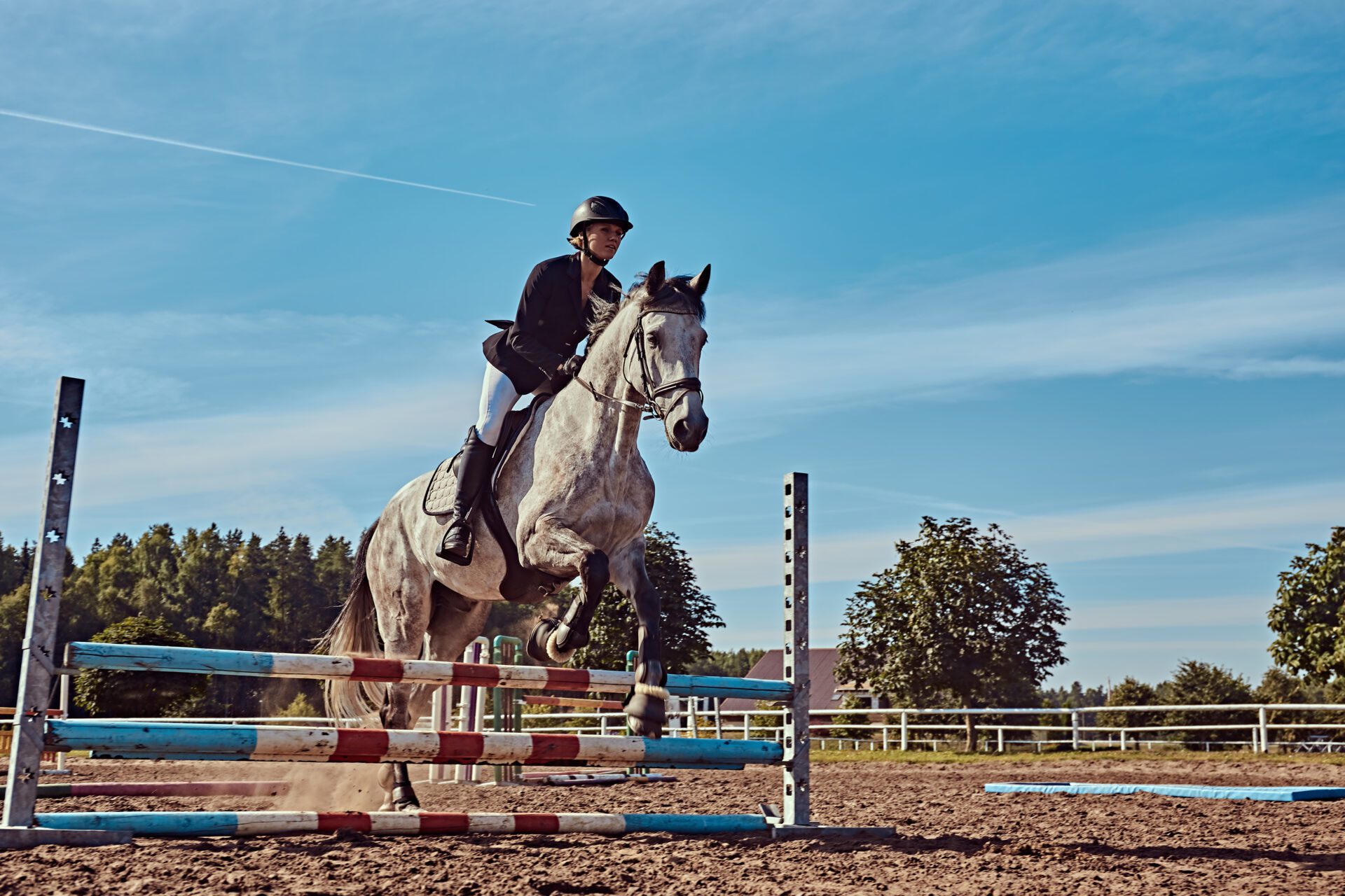 Female jockey on dapple gray horse jumping over hurdle in the open arena.