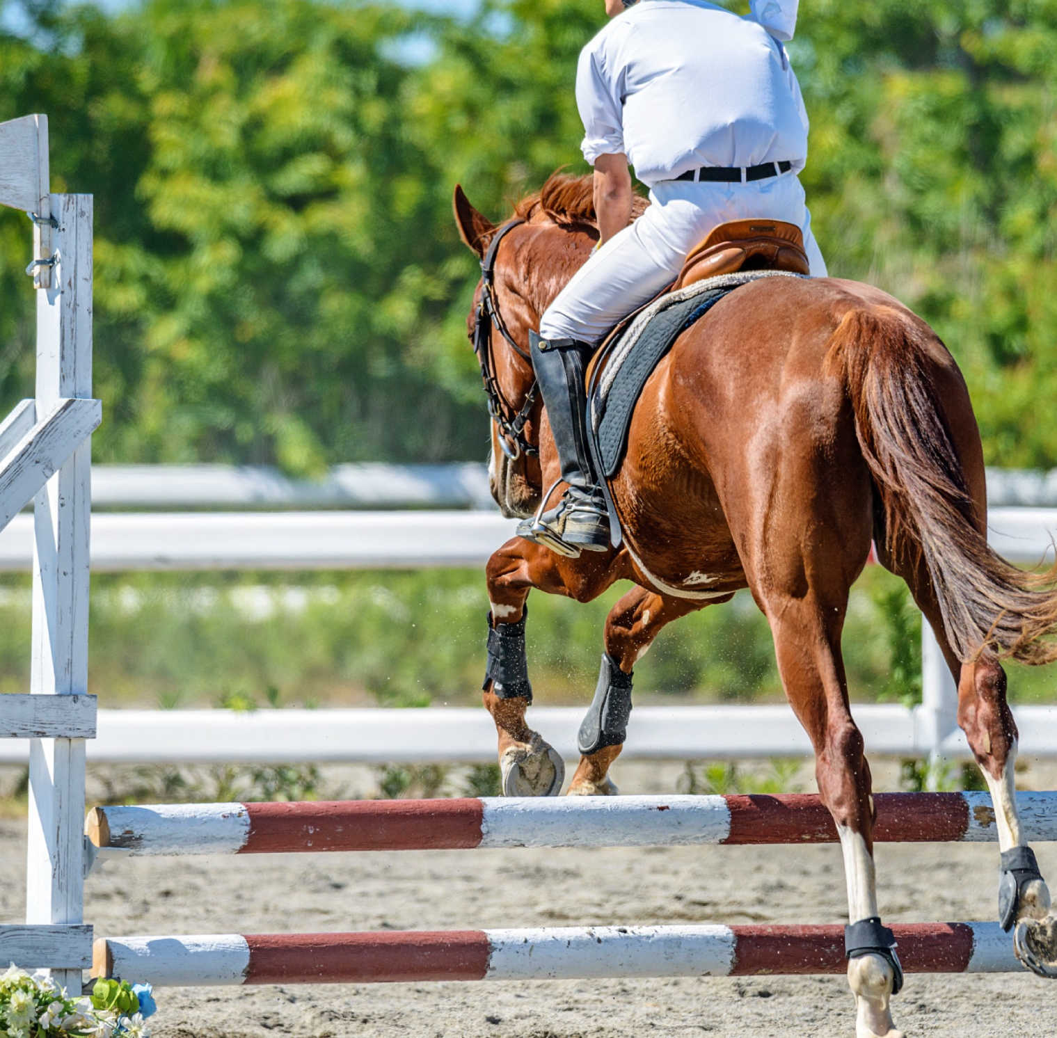 Scenery of the horseback riding