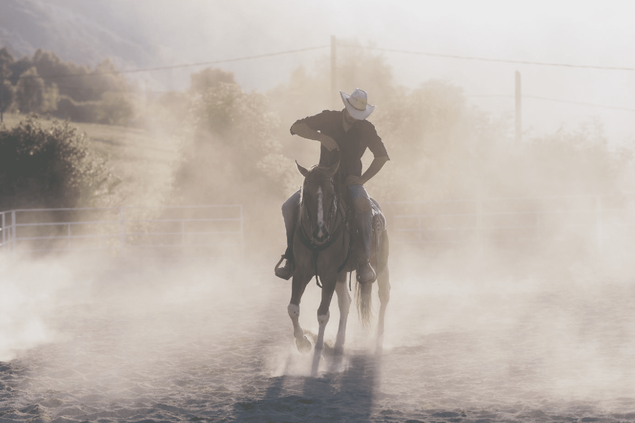 A cowboy riding a horse in a dusty arena with backlighting.