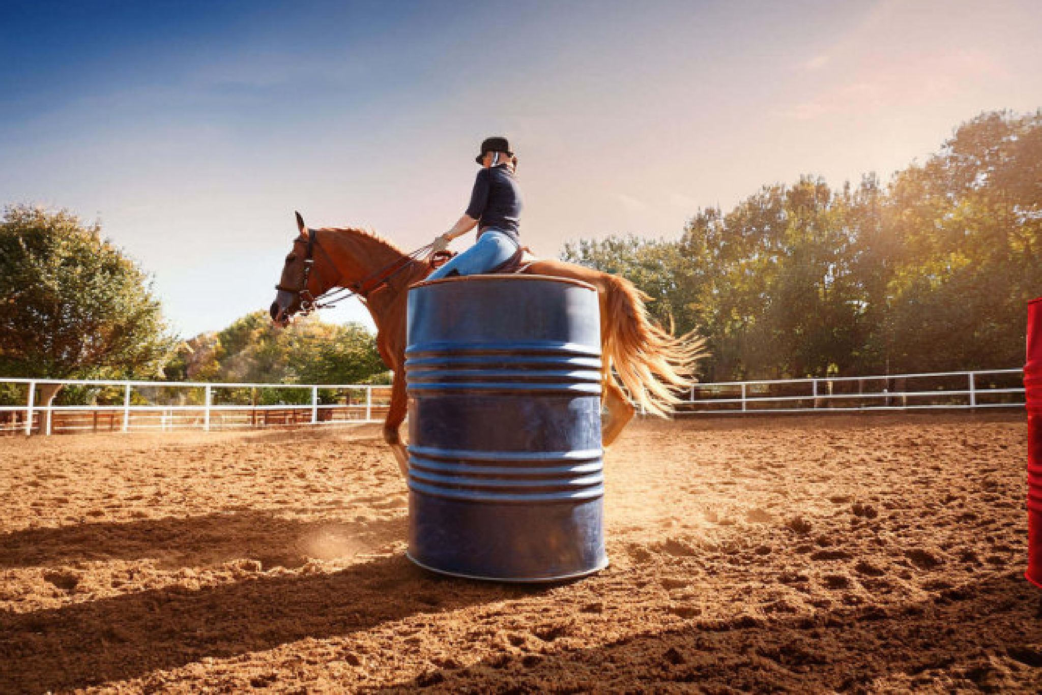 A rider on a chestnut horse circling a blue barrel in a sunlit arena. A rider on a chestnut horse circling a blue barrel in a sunlit arena.