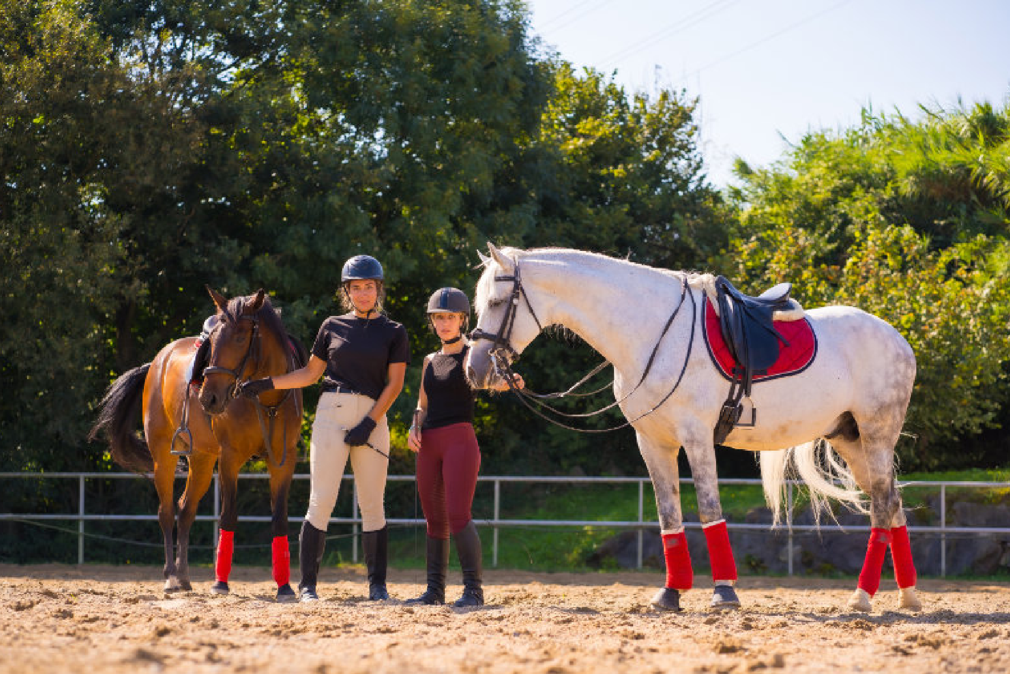 Two riders in helmets standing next to horses in an outdoor arena. Two riders in helmets standing next to horses in an outdoor arena.